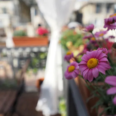 Dimora Della Galera Terrazza Apartment Genoa